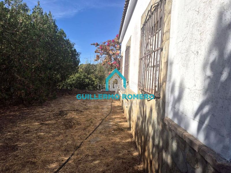Foto d8c52ba0-a546-4263-8a6a-ba4cc42bfca7. Masia a Puebla del Río (La)