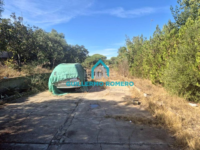 Foto e1ba0bfa-3b0c-4ac1-950c-d887373aef56. Masia a Puebla del Río (La)