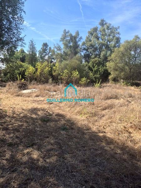 Foto ff92c3ad-6320-4b7c-898a-d69f0f403e2e. Masia a Puebla del Río (La)