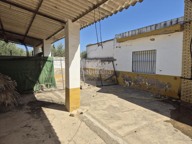 Foto df3dabea-bf25-44b8-894e-45138a8681de. Masia a Puebla del Río (La)