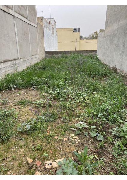 Foto 2abe0876-1db6-4697-b38d-5348a5a7e6b0. Terreny residencial a Coria del Río