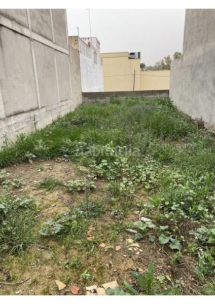 Foto 5a820dc6-4630-45c3-a384-b19d37be6069. Terreny residencial a Coria del Río