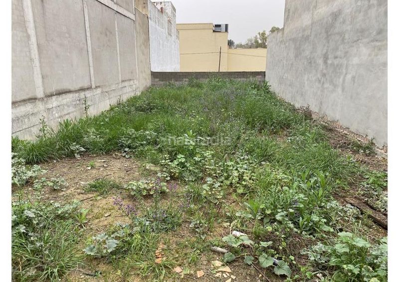 Foto 934dd3d5-4cb9-440e-bdf0-ad98cf643bb1. Terreny residencial a Coria del Río