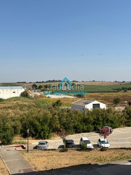 Foto a78bc637-c47b-4709-8d9d-dc2e0b852b8f. Pis a Puebla del Río (La)