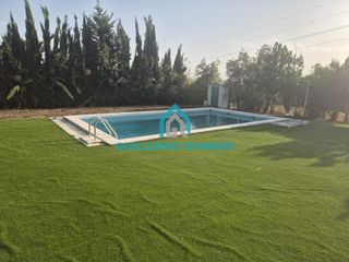 Bauernhof in Puebla del Río (La). Finca rústica con olivos, piscina y vivienda
