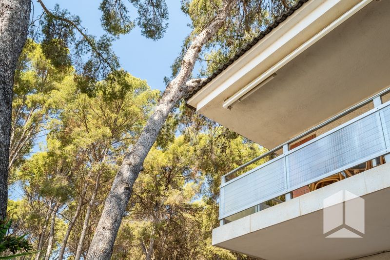 Foto b2753dad-4fee-4f81-8c87-89e0efbad7c4. Casa amb aparcament piscina a Montmar Castelldefels