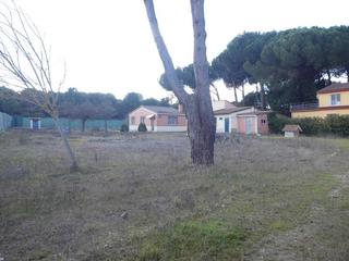 Masia  Calle vino tinto-vega nueva. Casa con terreno en venta