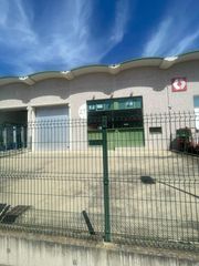Miete Fabrikhalle  Calle calle tamarisco. Nave en alquiler