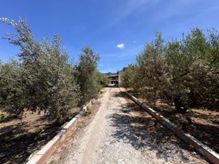 Masia  Diseminados. Caseta de campo en benigànim