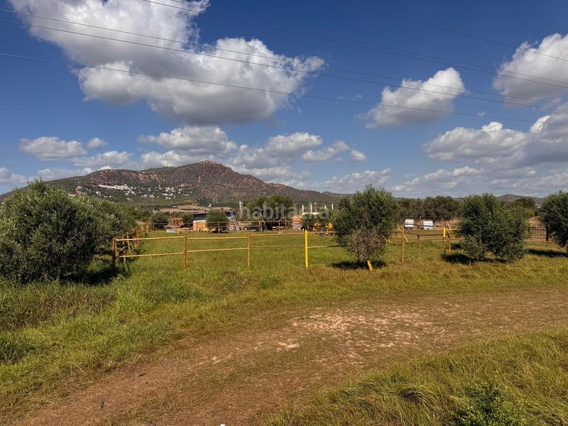 Foto 8b62e454-9ce7-4e54-a72c-aa978e408e72. Finca rústica a gausa a Avenida de Abril-9 de Octubre Sagunt