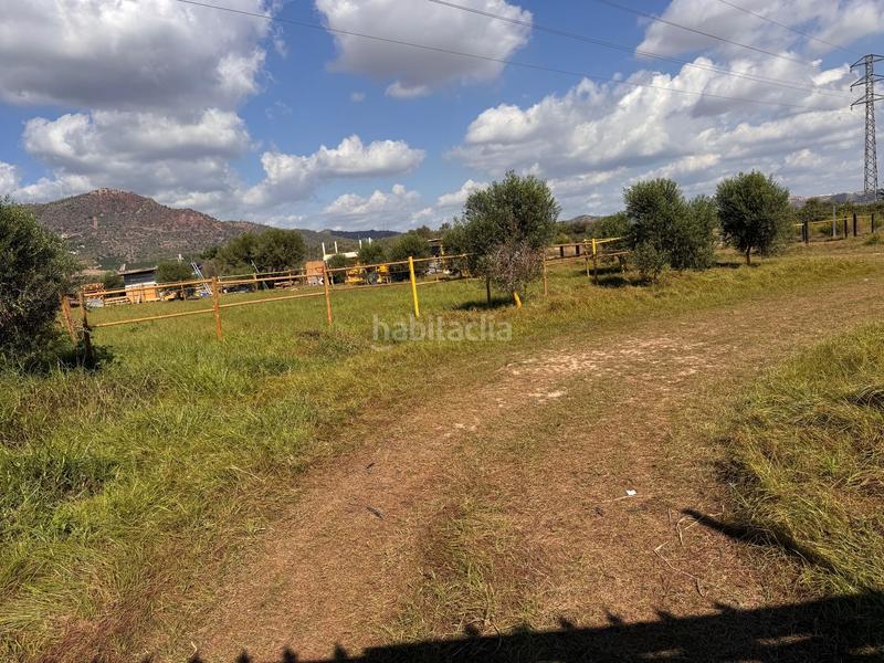 Foto 9810e418-a0b7-4c20-846d-261a7969f731. Finca rústica a gausa a Avenida de Abril-9 de Octubre Sagunt