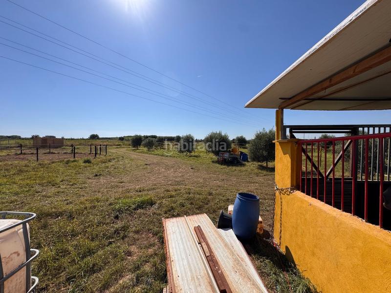 Foto ad25c397-7a00-4f51-a998-862923dddbdd. Finca rústica a gausa a Avenida de Abril-9 de Octubre Sagunt