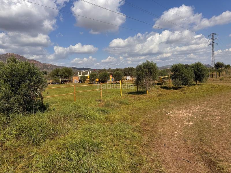 Foto b61bb6f8-f5d8-4ea4-964c-bb71f176293b. Finca rústica a gausa a Avenida de Abril-9 de Octubre Sagunt