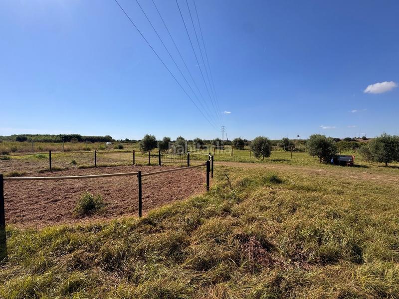 Foto d7a1de15-a1b5-4e00-82d8-24712a960e15. Finca rústica a gausa a Avenida de Abril-9 de Octubre Sagunt