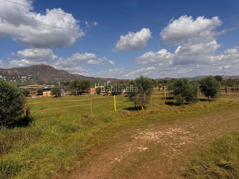 Foto e67d57b8-35ad-45c6-ba39-8713b94bdfe1. Finca rústica a gausa a Avenida de Abril-9 de Octubre Sagunt