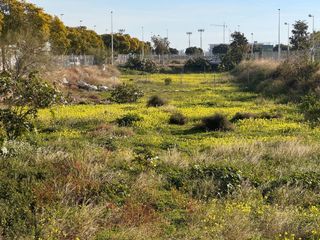 Wohngrundstück in Mestre antonio michavila 5