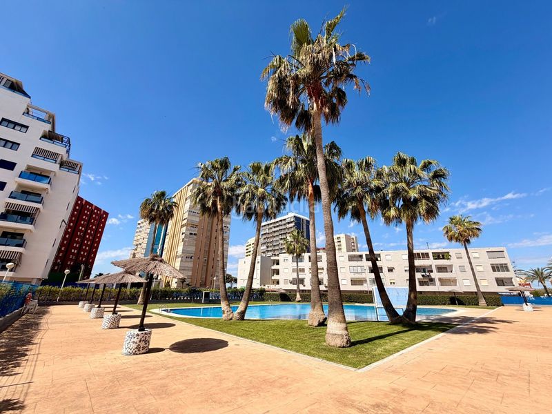 Foto de5af6c9-e6de-4d6e-98dd-374d6fa21112. Apartament amb piscina a Platja de la Pobla de Farnals Pobla de Farnals (la)