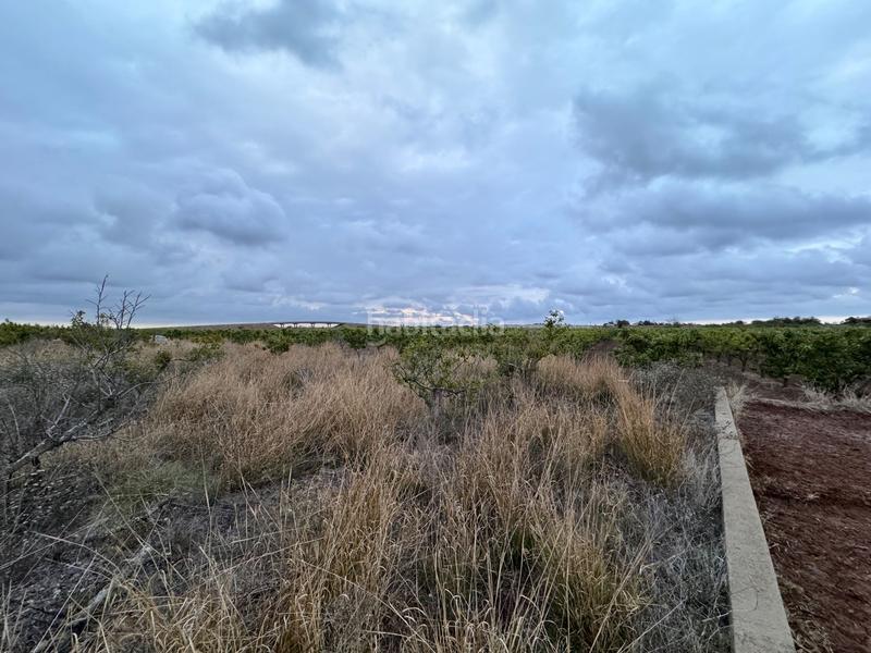 Foto 02bc7836-db32-4923-9887-995c20025873. Wohngrundstück in polígono 10 parcela 62 in Alginet