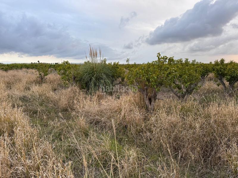 Foto 13bfd663-bf1c-4bb9-96aa-d0a32c591c84. Wohngrundstück in polígono 10 parcela 62 in Alginet