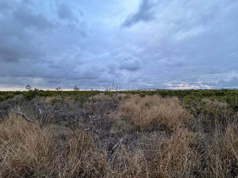 Foto 19630c79-bfcc-479e-9bdb-5b1ce3e9886b. Wohngrundstück in polígono 10 parcela 62 in Alginet