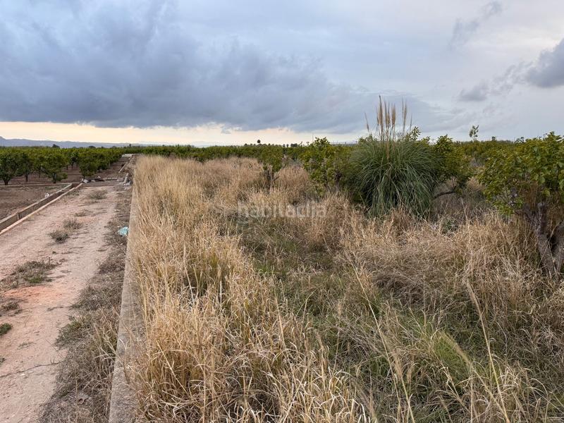 Foto 1b2ebb9e-548e-4749-baa0-32742999aedc. Wohngrundstück in polígono 10 parcela 62 in Alginet