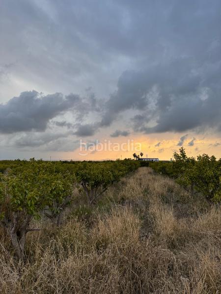 Foto 2cedba0d-ebff-4eb1-afdd-edd029bc2335. Wohngrundstück in polígono 10 parcela 62 in Alginet