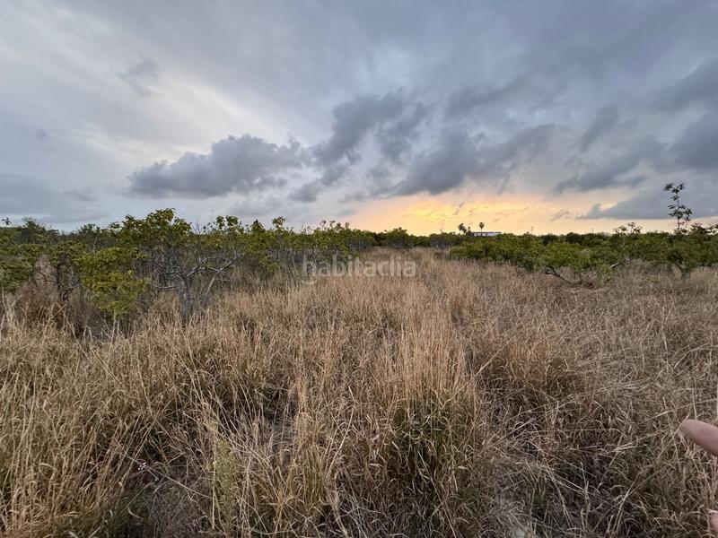 Foto 30bcae15-be2d-4251-8d43-a1babbbd11f0. Wohngrundstück in polígono 10 parcela 62 in Alginet