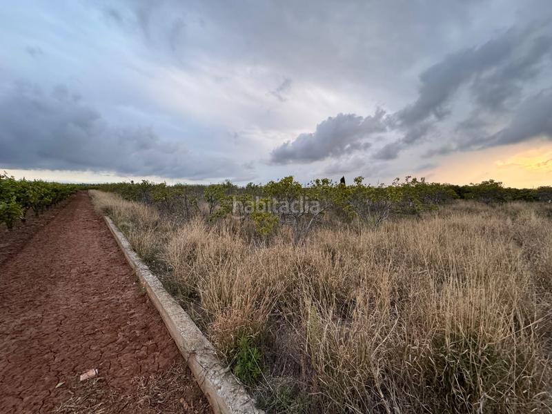 Foto 3bc2d3ed-e757-461f-af25-4ecafff5028c. Wohngrundstück in polígono 10 parcela 62 in Alginet