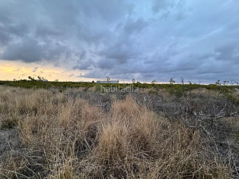 Foto 4d07f7d3-4ff8-4525-99b5-30e76185baba. Wohngrundstück in polígono 10 parcela 62 in Alginet