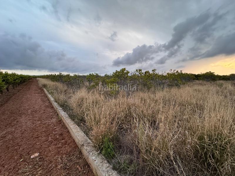 Foto 51a1304f-a43b-429d-8690-aedc19bcadda. Wohngrundstück in polígono 10 parcela 62 in Alginet