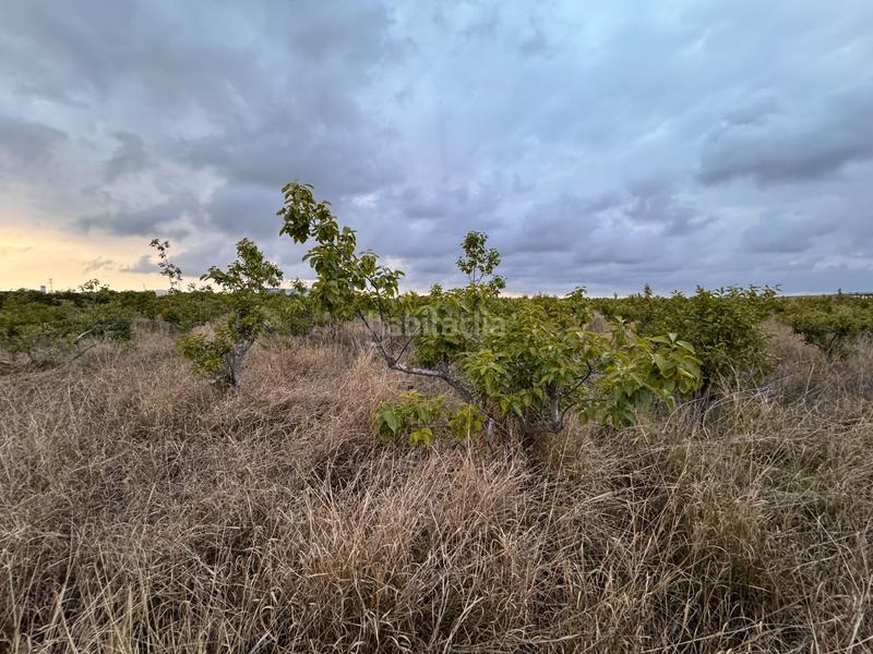 Foto 655c0bc6-5f05-4b4b-a647-ffa8c2c3e8a9. Wohngrundstück in polígono 10 parcela 62 in Alginet