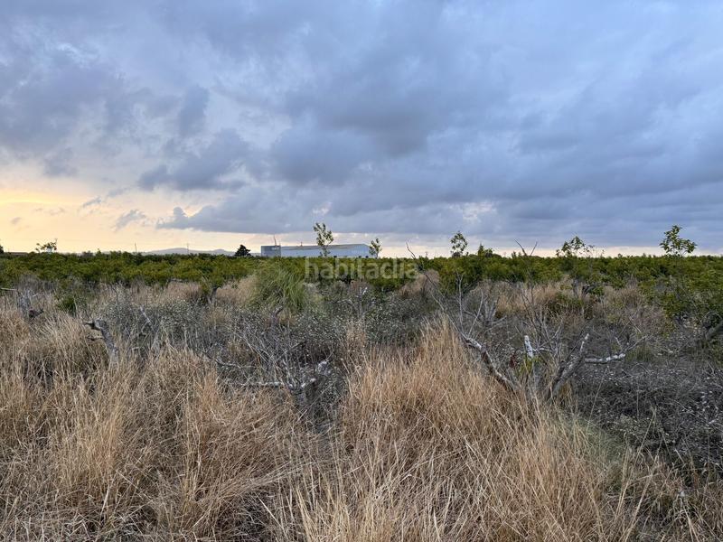 Foto 7120acd3-04ab-4a18-a0b7-6f4232568980. Wohngrundstück in polígono 10 parcela 62 in Alginet