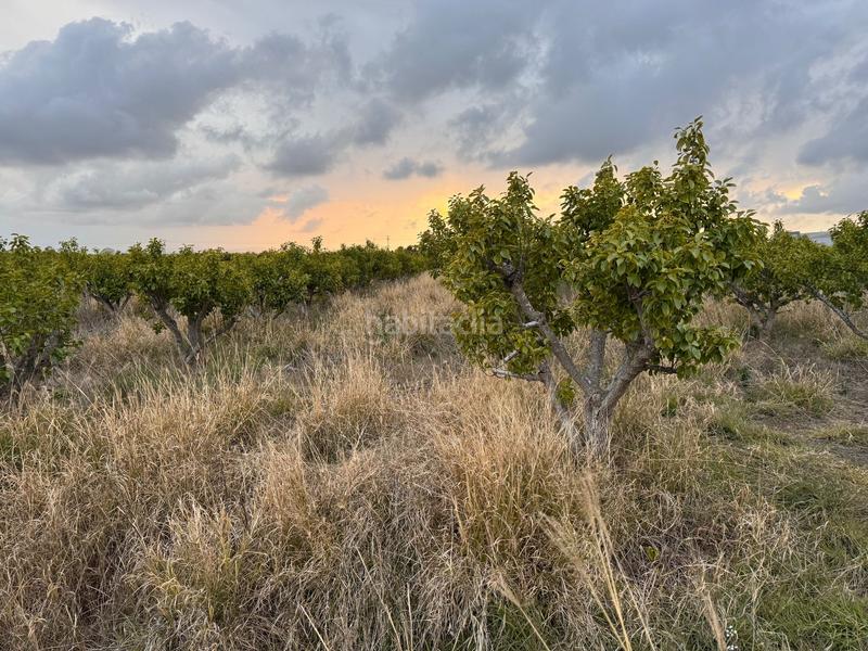 Foto 915dadc4-e1e8-4fe1-8f5d-e400071a0d9e. Wohngrundstück in polígono 10 parcela 62 in Alginet