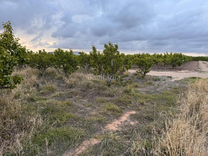 Foto c401811d-2307-4362-ba2c-d3db0915281a. Wohngrundstück in polígono 10 parcela 62 in Alginet