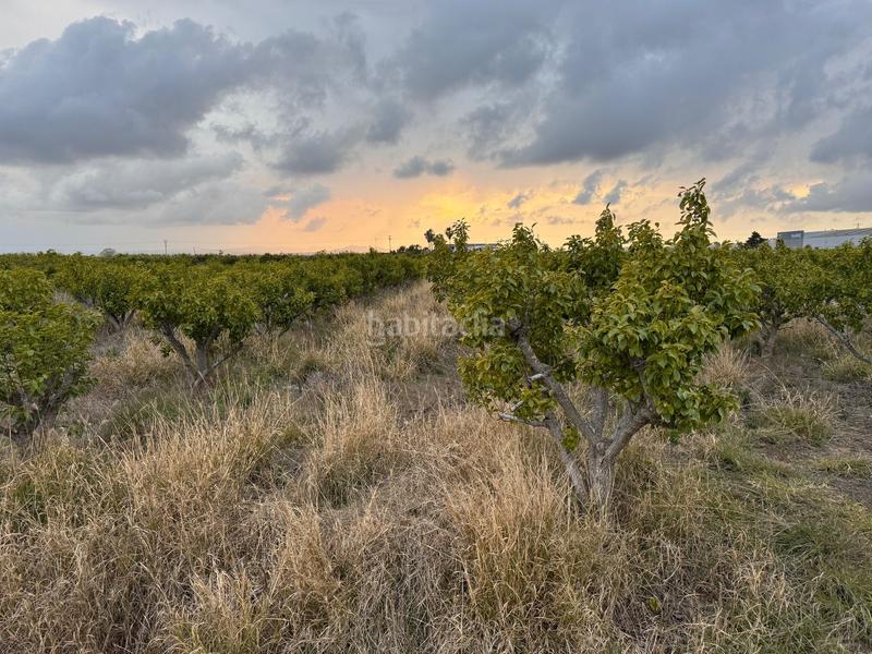 Foto c4f0f4be-d36f-4bd9-8726-2f5f2d767920. Wohngrundstück in polígono 10 parcela 62 in Alginet