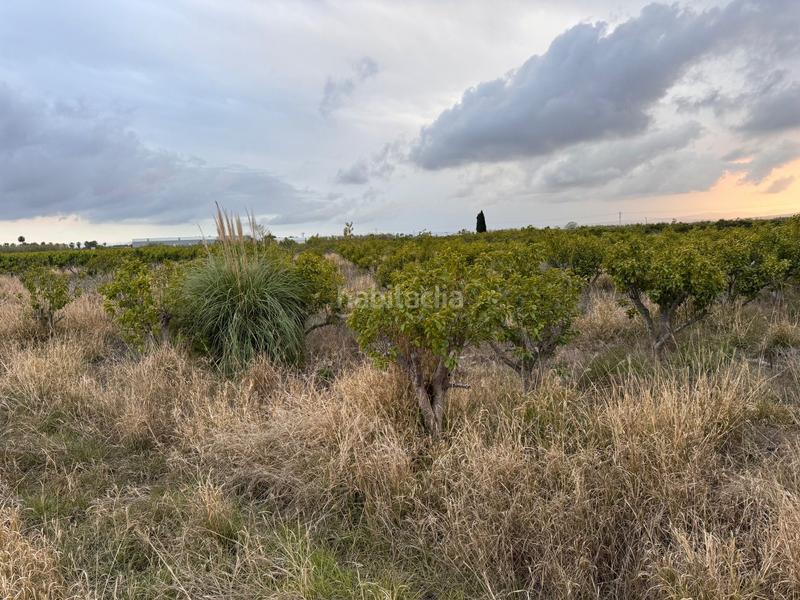 Foto dc969b51-9db1-4956-bb18-7442f04d940a. Wohngrundstück in polígono 10 parcela 62 in Alginet