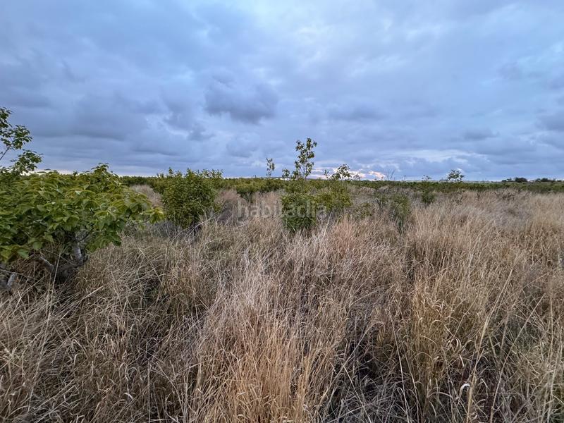 Foto dd34bf3e-6d7d-410a-8c29-2705324a947f. Wohngrundstück in polígono 10 parcela 62 in Alginet