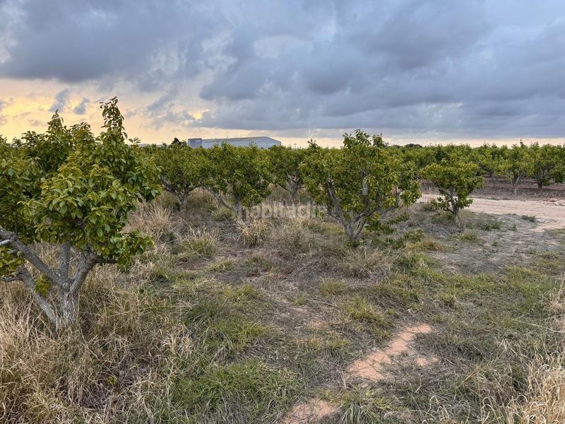 Foto ef7103b8-be7c-4110-89d2-cc03b5e4ce74. Wohngrundstück in polígono 10 parcela 62 in Alginet