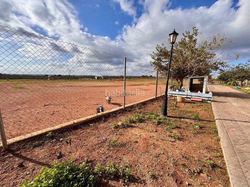 Foto bbb21e1e-8f91-41b3-a08d-bcff99372979. Chalet mit heizung pool in Los Pinares-La Masia Bétera