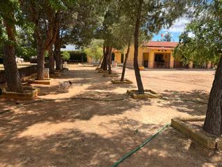 Finca rústica en Calle cartagena 16b. Parcela y chalet