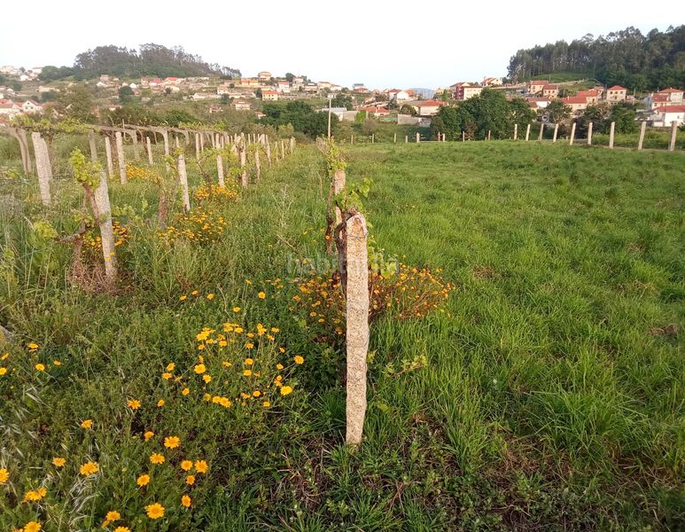 Foto 80b55941-8327-49c1-8d3a-c19496af6f6b. Finca rústica a Sanxenxo pueblo Sanxenxo