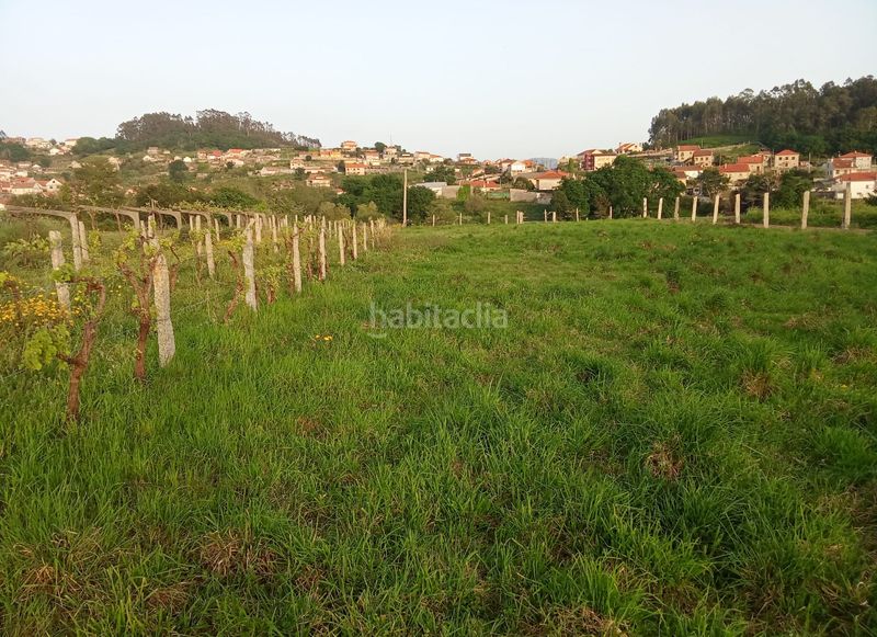 Foto a1182bb5-1972-4233-8387-96502eb12382. Finca rústica a Sanxenxo pueblo Sanxenxo