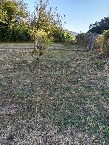 Foto 54ad9eff-b99e-462e-94a8-49bf2119ca40. Casa amb aparcament a Rois