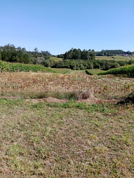 Foto 801c482f-b92d-442f-9010-b4b5e7712f7f. Casa amb aparcament a Rois