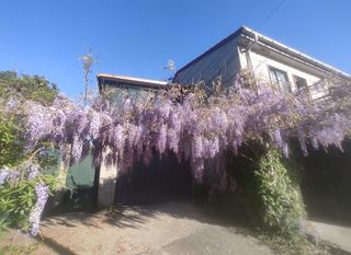 Casa  Lugar valeixe. Casa con terreno en a cañiza