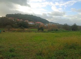 Finca rústica a Rúa Ourense