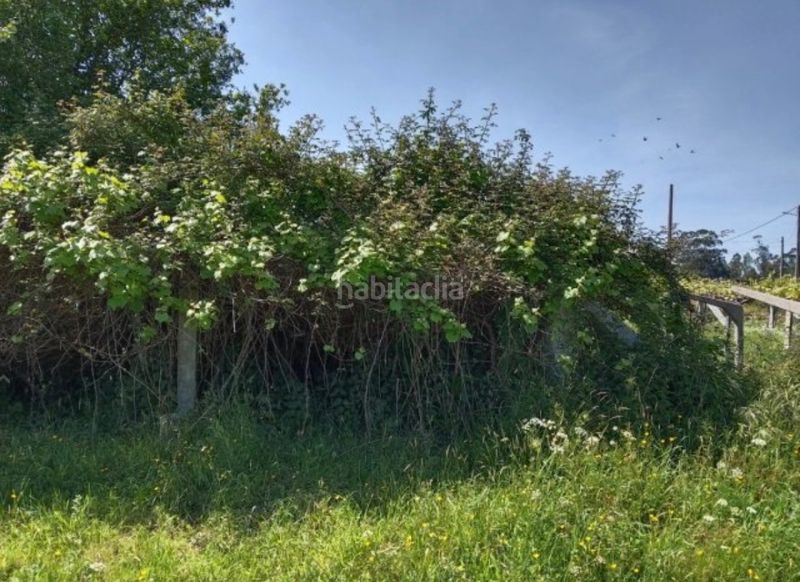 Foto 0181cb40-b345-490c-9c9d-8c58688e1b9c. Terreny residencial a Barro