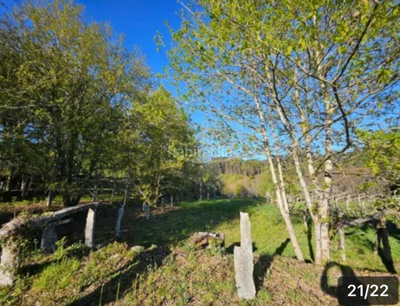 Foto d0dcb5b2-ef1e-4b64-905f-1c733b1d3e0e. Haus in rúa gonzalez besada 1 in Ponte - Caldelas