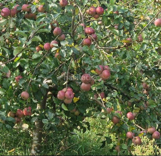 Foto 77f30b7a-a399-46eb-8b58-8ccfbe35f90e. Rural plot in lugar o beloso 38 in Bueu