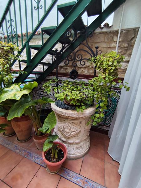 Foto ff3b343f-c49c-48e6-a236-614c4f69fe0a. Casa casco historico en buen estado con piscina en Úbeda